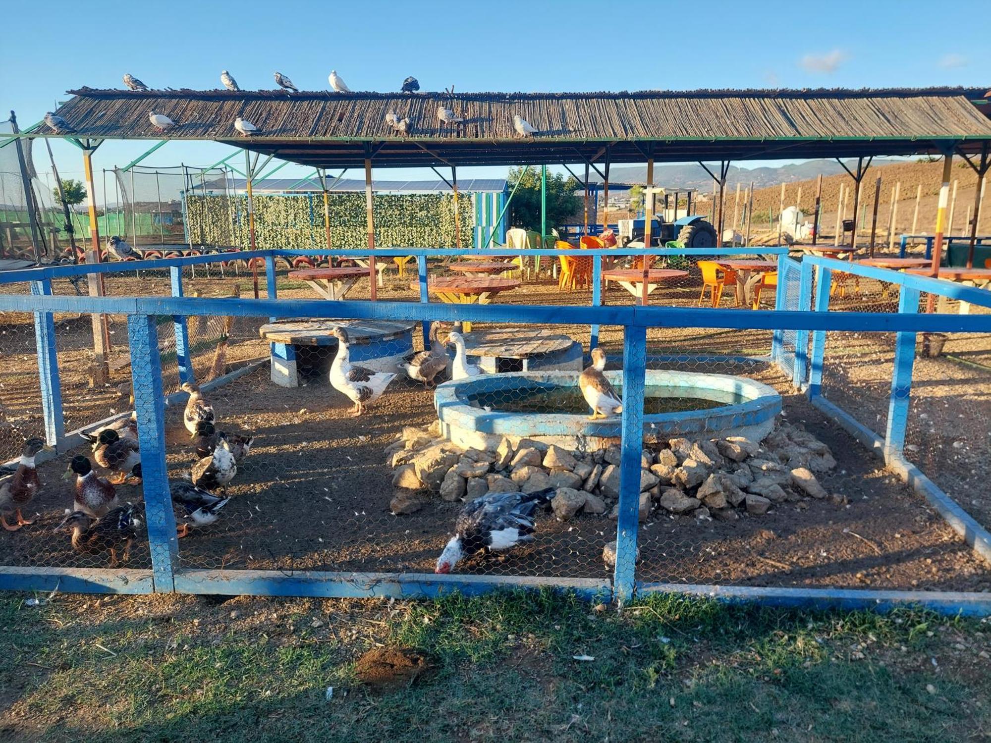 Farm stay Chez Le Fermier Ferme Pedagogique Tetouan