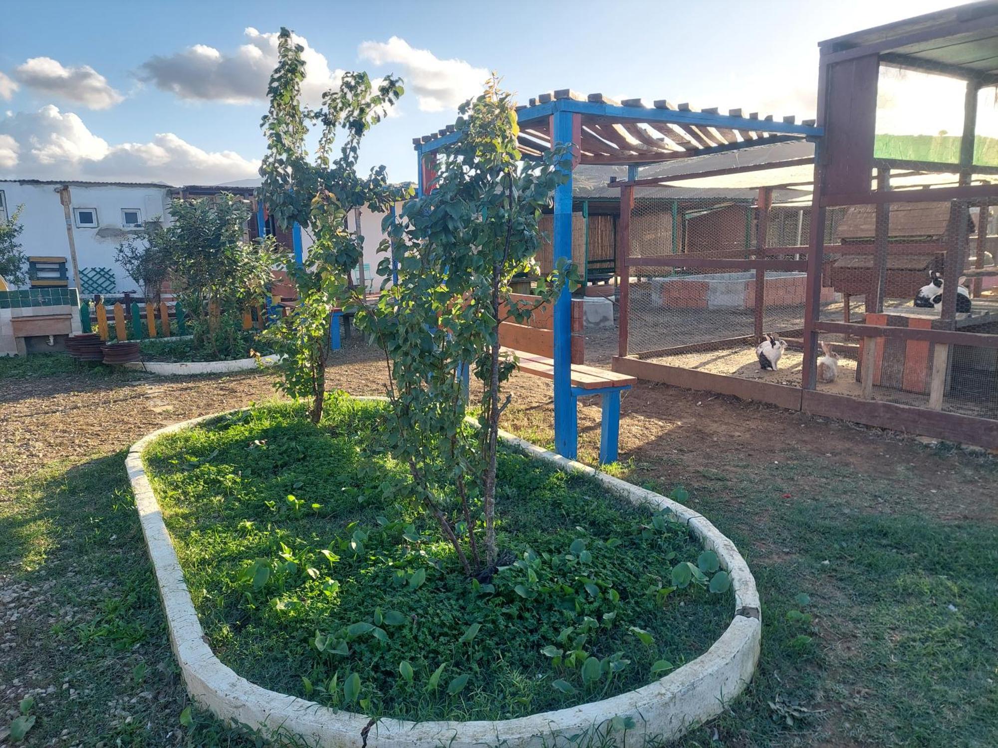 Chez Le Fermier Ferme Pedagogique